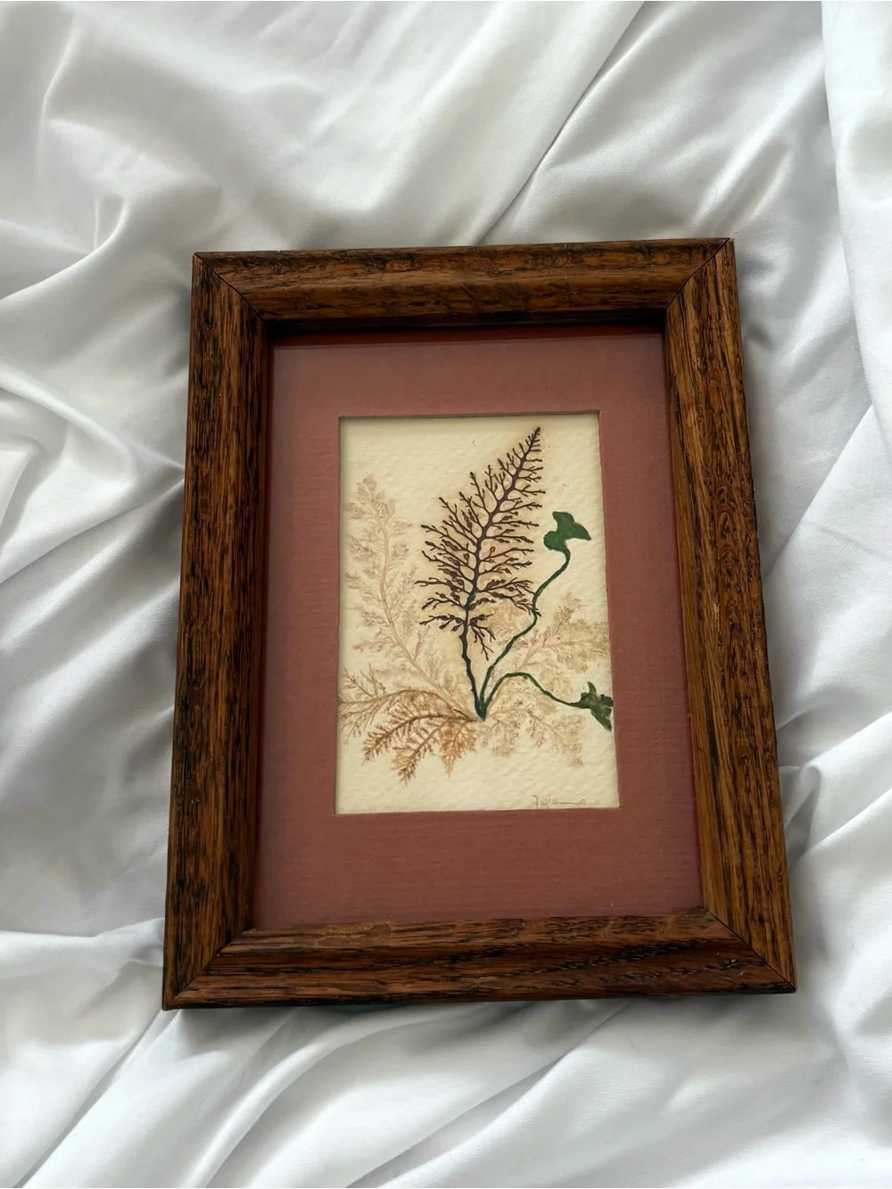 Vintage pressed seaweed framed wall art wood home decor wall hanging
